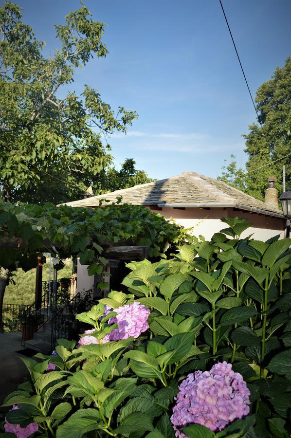 Hotel Adilon à Tsagkarada Extérieur photo